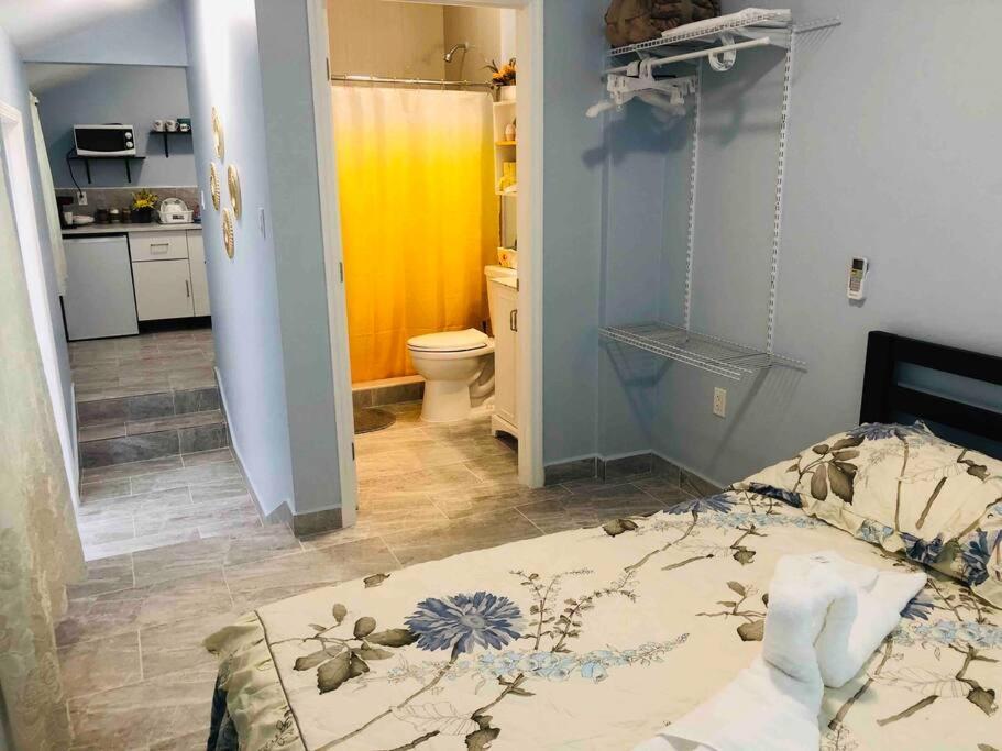 New Luxurious Studio Private In The Heart Of Miami Exterior foto