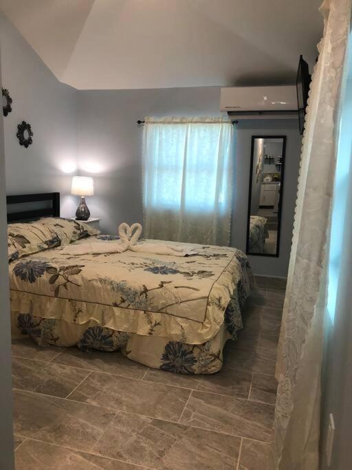 New Luxurious Studio Private In The Heart Of Miami Exterior foto